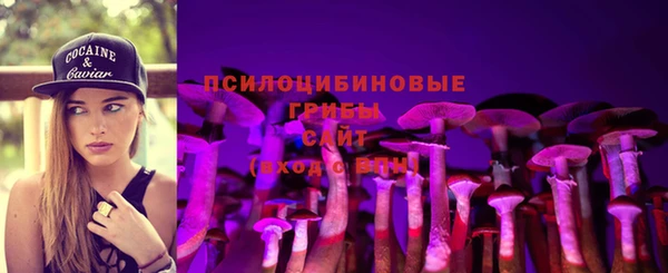 jwh Медногорск