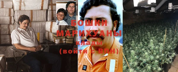 ALPHA PVP Медвежьегорск