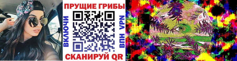 Купить где  Барнаул  Галлюциногенные грибы прущие грибы 